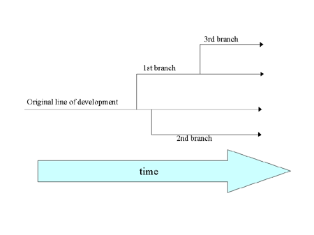 Branches of development