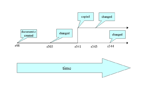 The branching of one file's history